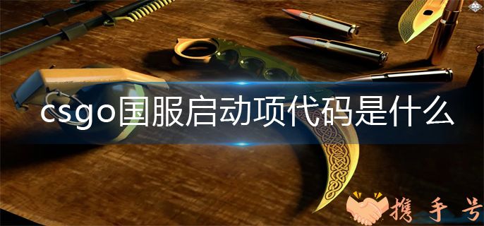 csgo国服启动项代码是什么 国服启动项代码分享